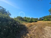 Terreno R�stico - Venda do Pinheiro, Mafra, Lisboa - Miniatura: 3/9