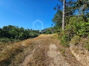 Terreno R�stico - Venda do Pinheiro, Mafra, Lisboa - Miniatura: 4/9