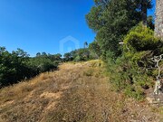 Terreno R�stico - Venda do Pinheiro, Mafra, Lisboa - Miniatura: 5/9