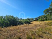 Terreno R�stico - Venda do Pinheiro, Mafra, Lisboa - Miniatura: 6/9