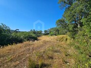 Terreno R�stico - Venda do Pinheiro, Mafra, Lisboa - Miniatura: 8/9