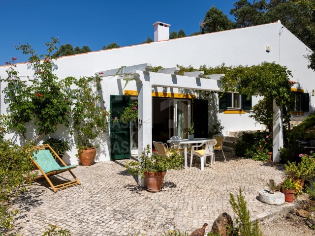 Moradia T2 - Carvoeira, Mafra, Lisboa - Imagem grande