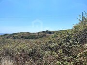 Terreno Rstico - Ericeira, Mafra, Lisboa - Miniatura: 8/9