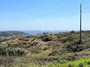 Terreno Rstico - Ericeira, Mafra, Lisboa - Miniatura: 9/9