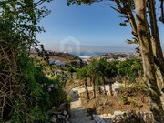 Terreno R�stico - Ericeira, Mafra, Lisboa - Miniatura: 3/9