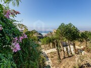 Terreno R�stico - Ericeira, Mafra, Lisboa - Miniatura: 4/9