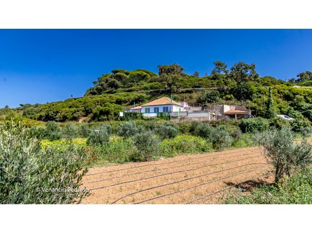 Moradia T3 - Ericeira, Mafra, Lisboa - Imagem grande