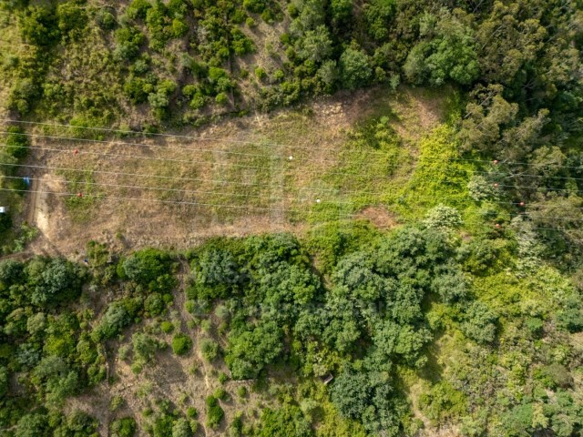 Terreno R�stico - Mafra, Mafra, Lisboa - Imagem grande
