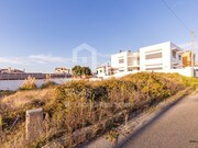 Terreno Rstico - Ericeira, Mafra, Lisboa - Miniatura: 5/9