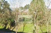 Terreno Rstico - Milharado, Mafra, Lisboa - Miniatura: 3/9