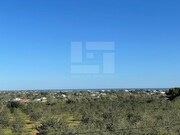Moradia T4 - Quelfes, Olho, Faro (Algarve) - Miniatura: 3/9