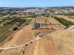 Moradia T1 - Odi�xere, Lagos, Faro (Algarve) - Miniatura: 17/17