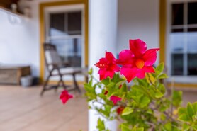 Moradia T2 - S�o Teot�nio, Odemira, Beja - Miniatura: 24/56