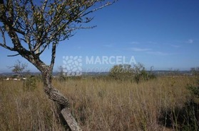 Terreno Urbano T0 - Luz, Lagos, Faro (Algarve) - Miniatura: 3/4