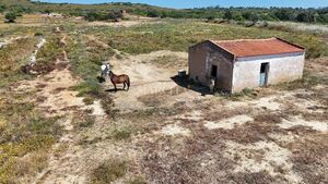 Moradia T3 - Vila do Bispo, Vila do Bispo, Faro (Algarve) - Miniatura: 31/35