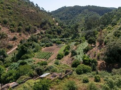 Outros T0 - Marmelete, Monchique, Faro (Algarve) - Miniatura: 9/10