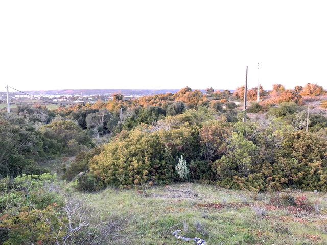 Terreno R�stico T0 - Lagos, Lagos, Faro (Algarve) - Imagem grande
