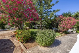 Moradia T2 - Luz, Lagos, Faro (Algarve) - Miniatura: 26/27