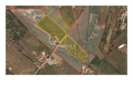 Ruina T0 - Lagos, Lagos, Faro (Algarve) - Miniatura: 9/10