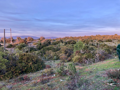 Terreno R�stico T0 - Lagos, Lagos, Faro (Algarve) - Miniatura: 3/4