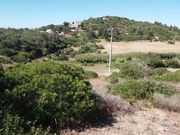 Terreno Rstico T0 - Budens, Vila do Bispo, Faro (Algarve) - Miniatura: 1/2