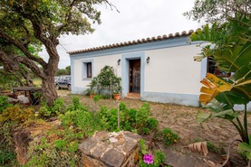 Moradia T3 - Bar�o de S�o Jo�o, Lagos, Faro (Algarve) - Miniatura: 1/16