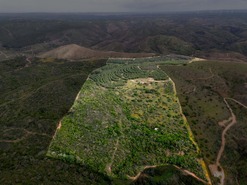 Moradia T3 - Bar�o de S�o Jo�o, Lagos, Faro (Algarve) - Miniatura: 5/16