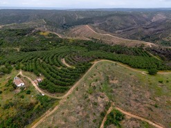 Moradia T3 - Bar�o de S�o Jo�o, Lagos, Faro (Algarve) - Miniatura: 16/16