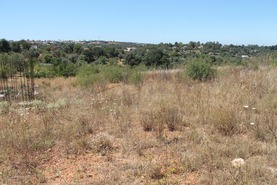 Terreno R�stico - Estombar, Lagoa (Algarve), Faro (Algarve) - Miniatura: 3/6