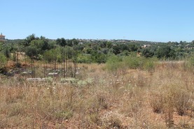 Terreno R�stico - Estombar, Lagoa (Algarve), Faro (Algarve) - Miniatura: 6/6