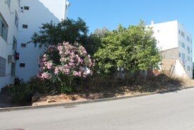 Terreno Rstico T0 - Portimo, Portimo, Faro (Algarve) - Miniatura: 2/2