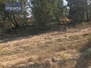 Terreno R�stico - Santo Estev�o, Benavente, Santar�m - Miniatura: 1/9