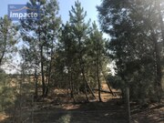Terreno R�stico - Santo Estev�o, Benavente, Santar�m - Miniatura: 2/9