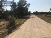 Terreno R�stico - Santo Estev�o, Benavente, Santar�m - Miniatura: 3/9