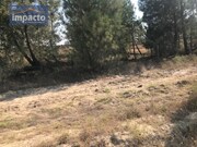 Terreno R�stico - Santo Estev�o, Benavente, Santar�m - Miniatura: 4/9