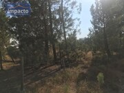 Terreno R�stico - Santo Estev�o, Benavente, Santar�m - Miniatura: 5/9