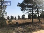 Terreno R�stico - Santo Estev�o, Benavente, Santar�m - Miniatura: 7/9