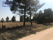 Terreno R�stico - Santo Estev�o, Benavente, Santar�m - Miniatura: 9/9