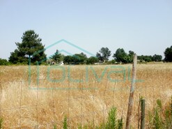 Terreno Industrial - Salvaterra de Magos, Salvaterra de Magos, Santarm