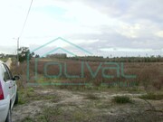 Terreno Rstico - Benavente, Benavente, Santarm - Miniatura: 2/5