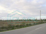 Terreno Rstico - Benavente, Benavente, Santarm - Miniatura: 3/5