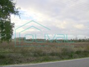 Terreno Rstico - Benavente, Benavente, Santarm - Miniatura: 4/5