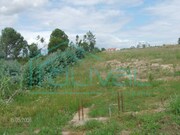 Terreno Rstico - Biscanho, Coruche, Santarm - Miniatura: 2/3