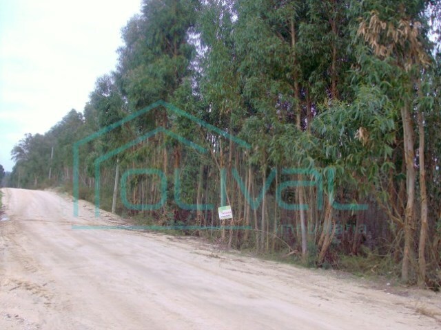 Terreno Rstico - Santo Estevo, Benavente, Santarm - Imagem grande