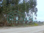 Terreno Rstico - Santo Estevo, Benavente, Santarm - Miniatura: 1/2