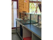 Bar/Restaurante - Alverca do Ribatejo, Vila Franca de Xira, Lisboa - Miniatura: 7/9