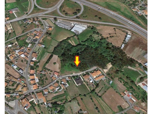 Terreno Rústico - Angeja, Albergaria-a-Velha, Aveiro - Imagem grande