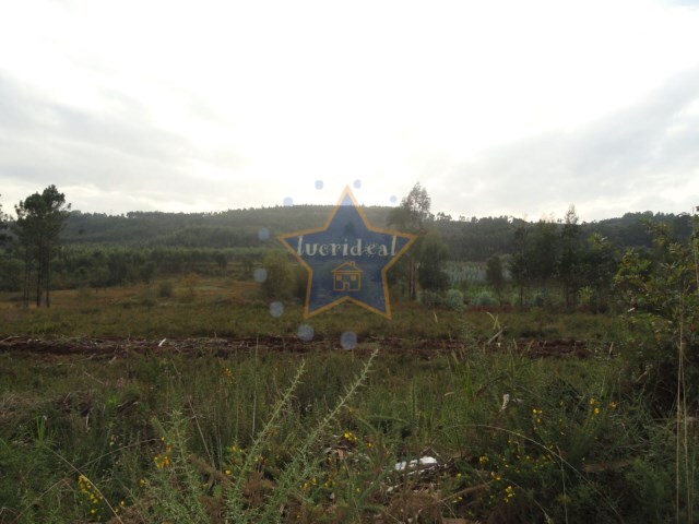 Terreno Industrial - Folgosa, Maia, Porto - Imagem grande