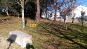 Terreno R�stico - Pedroso, Vila Nova de Gaia, Porto - Miniatura: 1/9