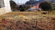 Terreno R�stico - Pedroso, Vila Nova de Gaia, Porto - Miniatura: 5/9